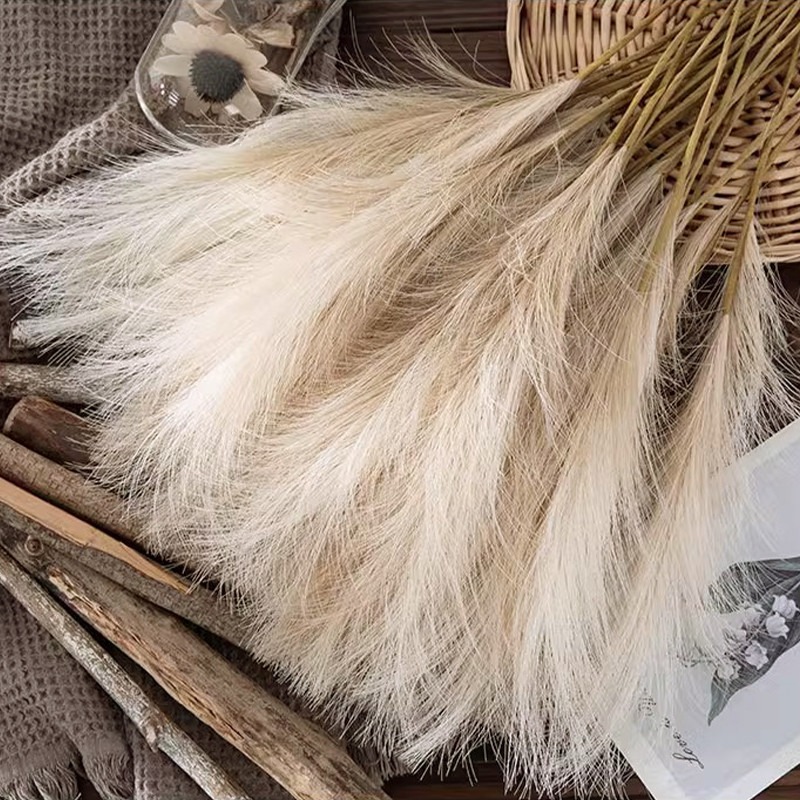 Pampas Grass Decor - ดอกไม้ประดิษฐ์ 5 ชิ้น/ชุด ตกแต่งด้วยหญ้าแพมพัส ดอกไม้แห้งประดิษฐ์ ตกแต่งห้องนอนงานแต่งงาน
