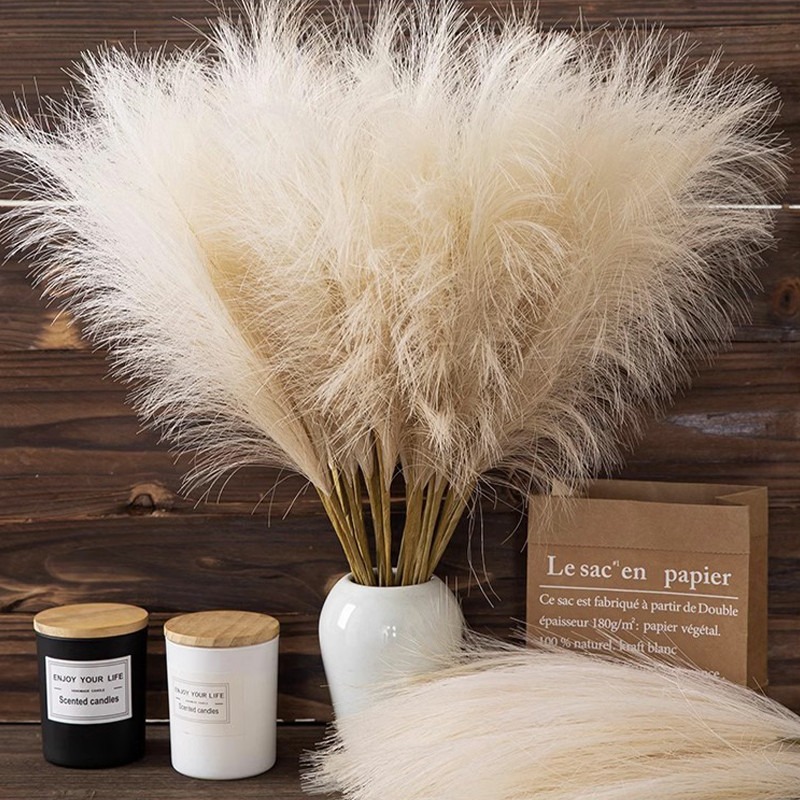 ดอกไม้ประดิษฐ์ 5 ชิ้น/ชุด ตกแต - Pampas Grass Decor บทวิจารณ์และราคา