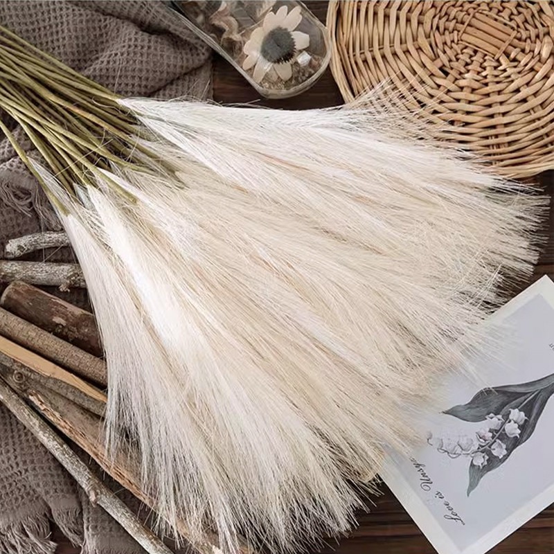 ดอกไม้ประดิษฐ์ 5 ชิ้น/ชุด ตกแต - Pampas Grass Decor บทวิจารณ์และราคา
