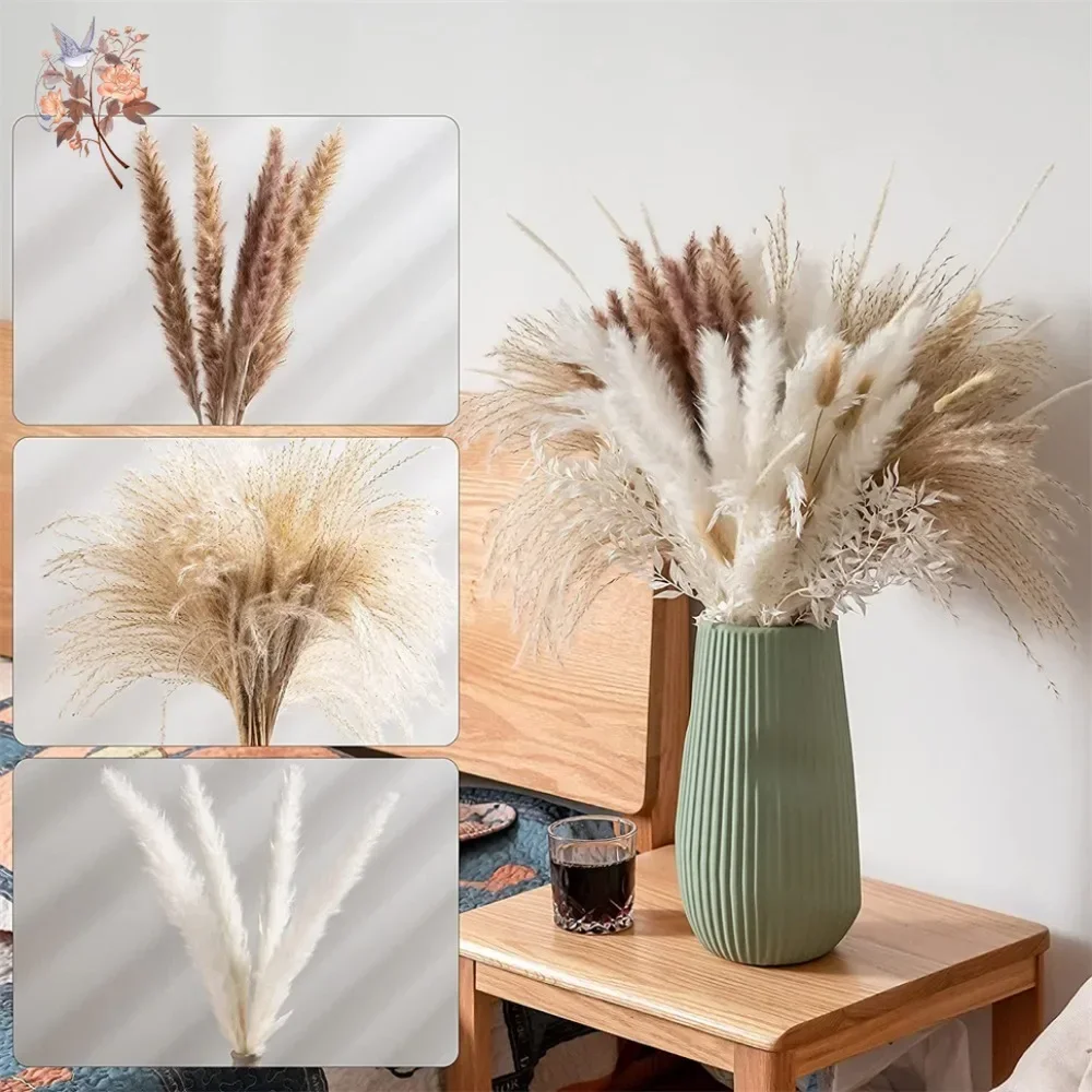 ดอกแพมพัสแห้งธรรมชาติ 88 ชิ้น  - Pampas Grass Decor บทวิจารณ์และราคา
