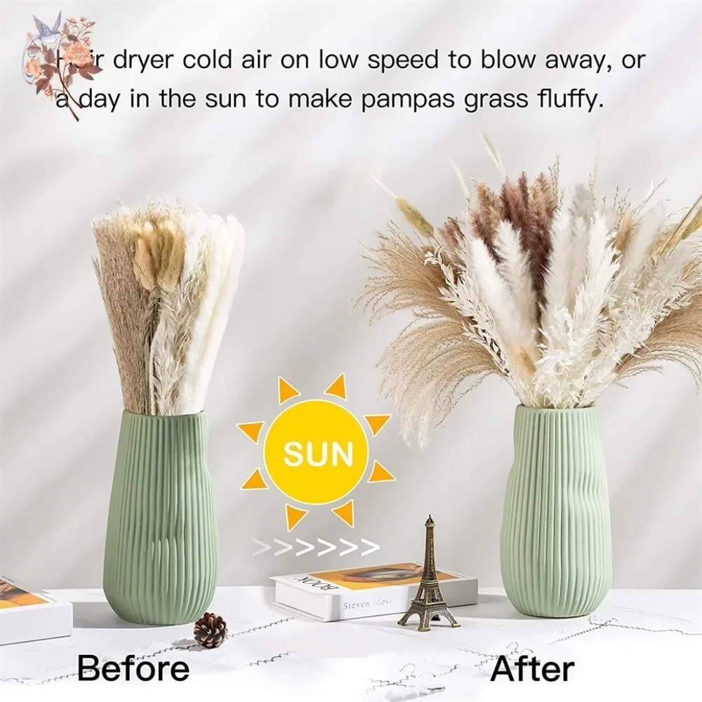 ดอกแพมพัสแห้งธรรมชาติ 88 ชิ้น  - Pampas Grass Decor บทวิจารณ์และราคา