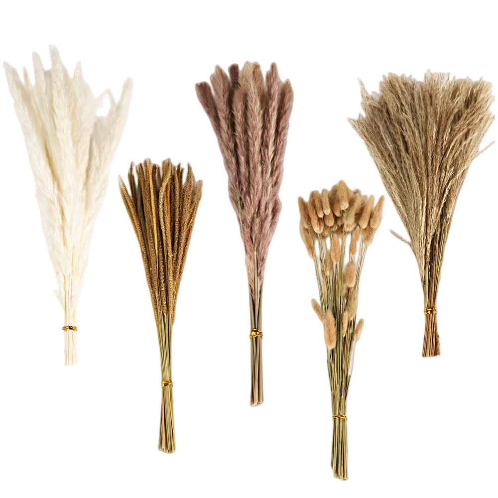 ช่อดอกไม้แห้งผสมสไตล์วินเทจฤดู - Pampas Grass Decor บทวิจารณ์และราคา