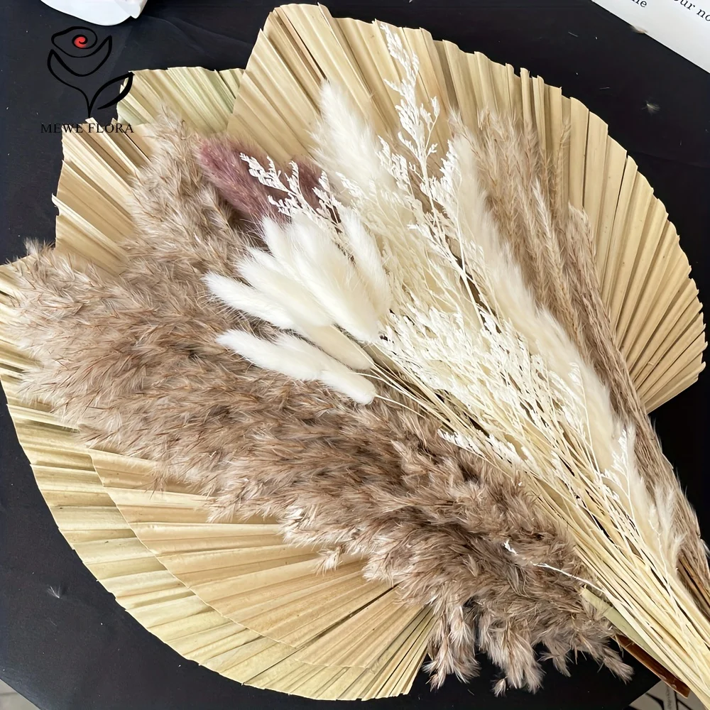 35 ชิ้นธรรมชาติ Pampas Grass B - Pampas Grass Decor บทวิจารณ์และราคา