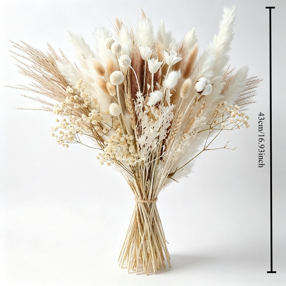 ช่อดอกแพมพัสแห้งธรรมชาติ, ดอกค - Pampas Grass Decor บทวิจารณ์และราคา