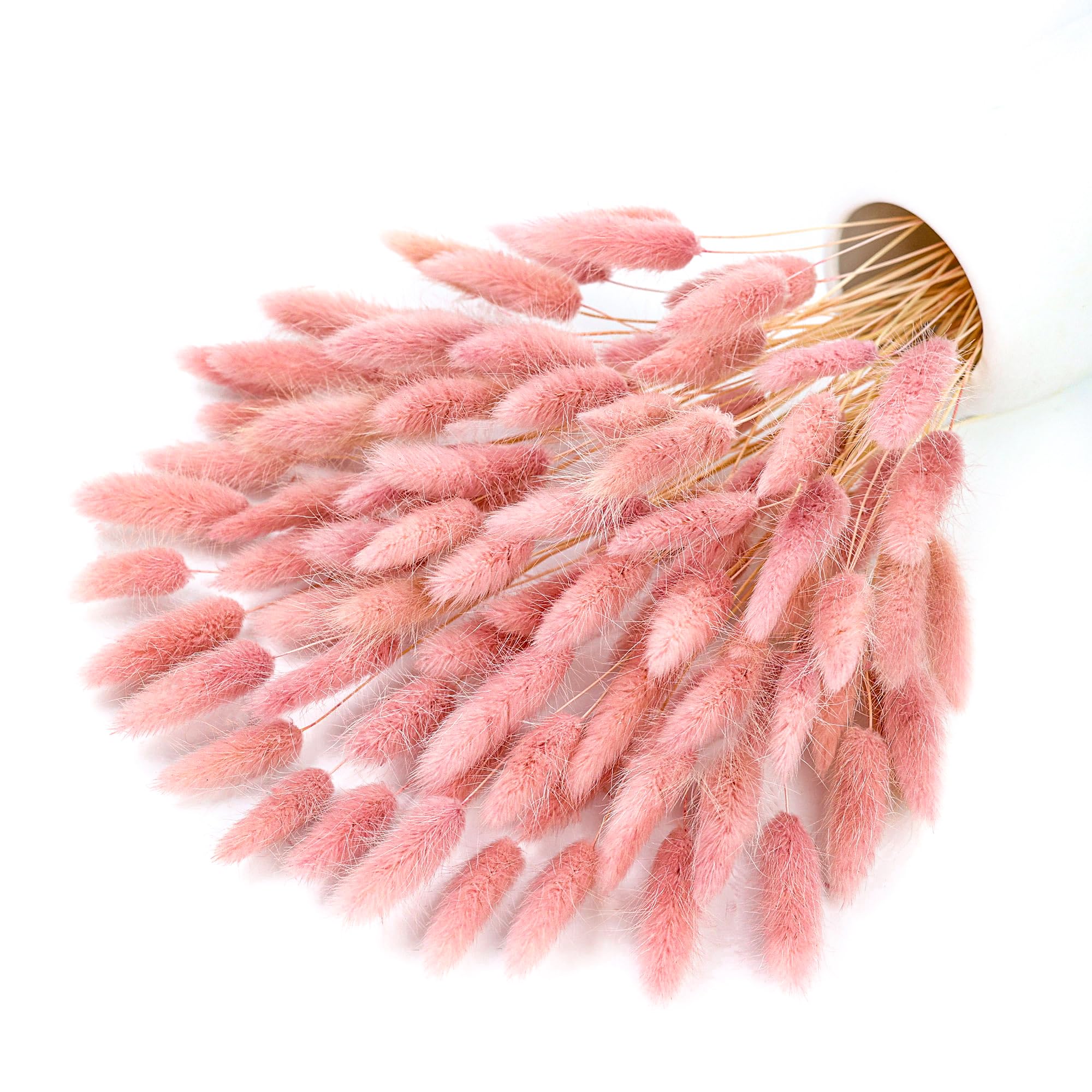หญ้าแพมพัสแห้งสีชมพู 120 ก้าน  - Pampas Grass Decor บทวิจารณ์และราคา