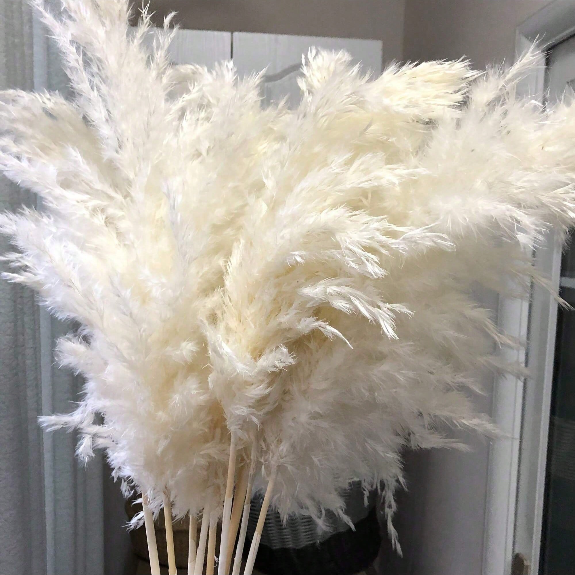10/20/30 ชิ้น หญ้าแพมพัสประดิษ - Pampas Grass Decor บทวิจารณ์และราคา
