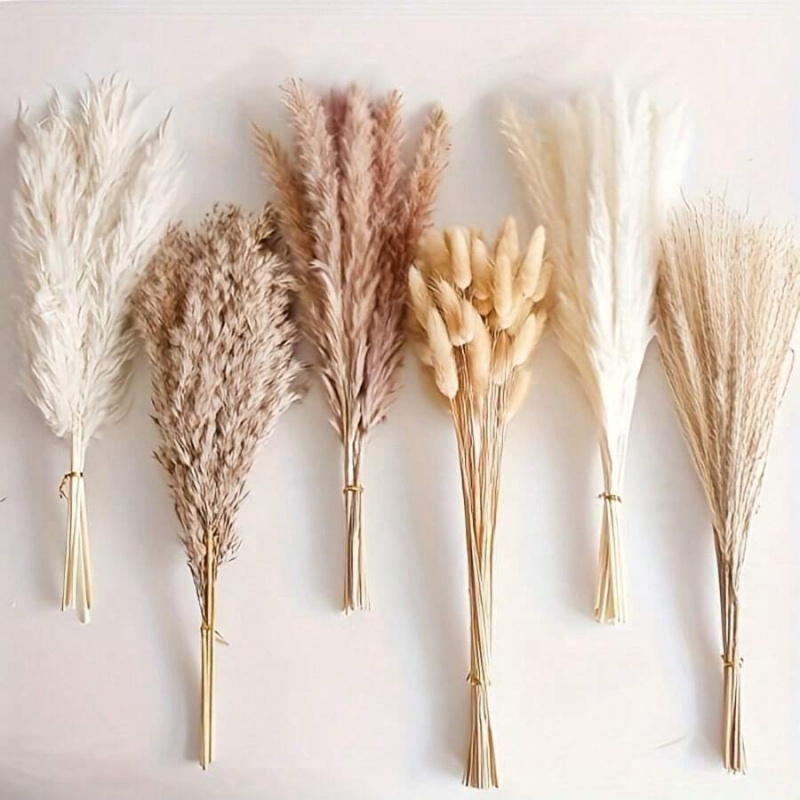 ช่อดอกหญ้าแพมพัสแห้ง 110 ชิ้น  - Pampas Grass Decor บทวิจารณ์และราคา